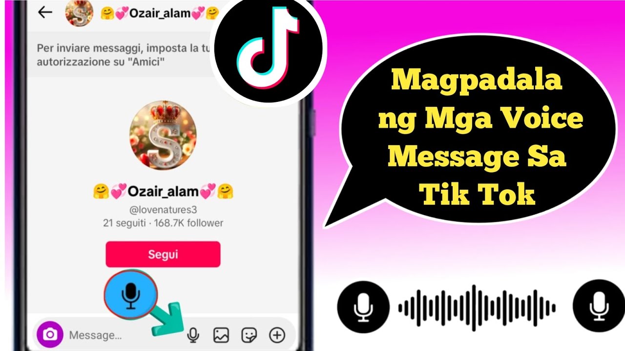 🎤Paano Magpadala ng Mga Voice Message Sa TikTok (2025 Guide) Kumuha ng ...