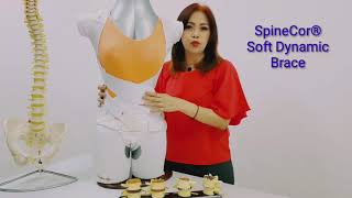 SpineCor dynamic soft brace is 89% effective for scoliosis treatment screenshot 4