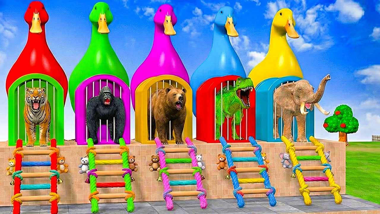 Long Slide Game with Cow Elephant Gorilla Hippopotamus Tiger 3d Animal Game Funny 3d Animals