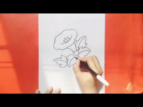 Menggambar bunga  mudah  flora How to draw an easy 