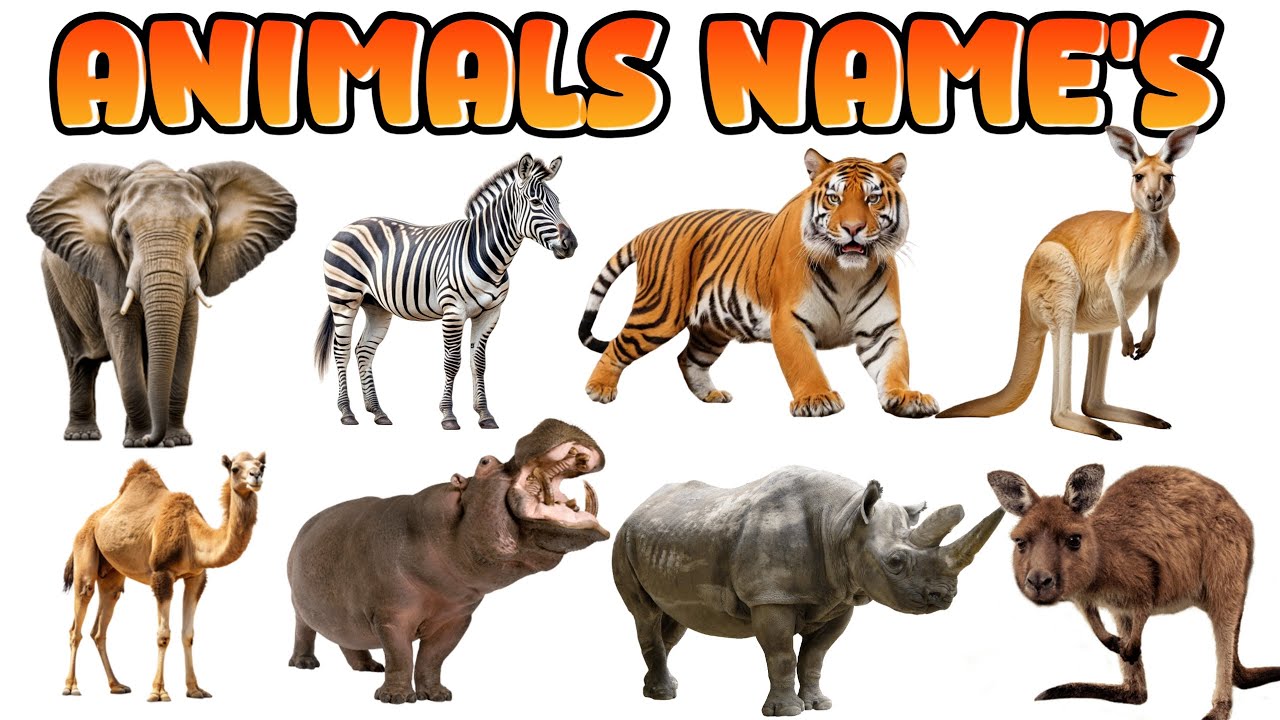 Unique Animals in the World | Amazing Animal Facts in Hindi