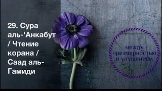 29. Сура аль-'Анкабут / Чтение корана / Саад аль-Гамиди