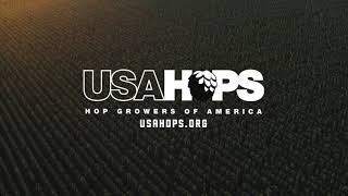 Hop Harvest: Sun Up to Sun Down