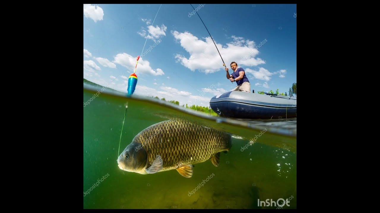 рибалка #рибалка#риба🐟🐠🎣 - YouTube
