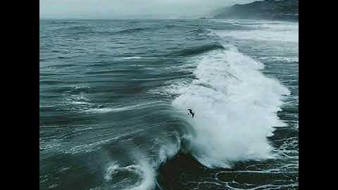 تلاوة منقولة من صلاة "العشاء" بصوت القارئ: محمد عبد الحكيم هائل