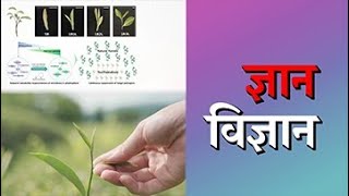 ज्ञान विज्ञान | Gyan Vigyan | 22 May 2023