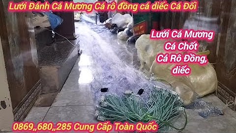 Lưới Đánh Cá Mương Cá Rô Đồng Cá Sặc Cá Chép Cá Mè Vinh Cá thác lác Cá Rô phi Cá mè Cá éc Bắt tất