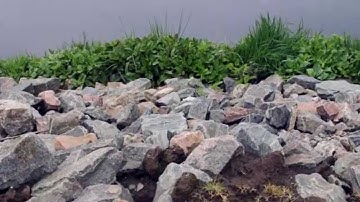 Good Environmental Practice on a Construction Site