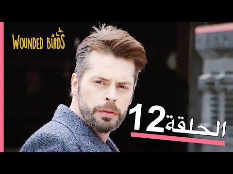 الطيور الجريحة الحلقة الكاملة 12