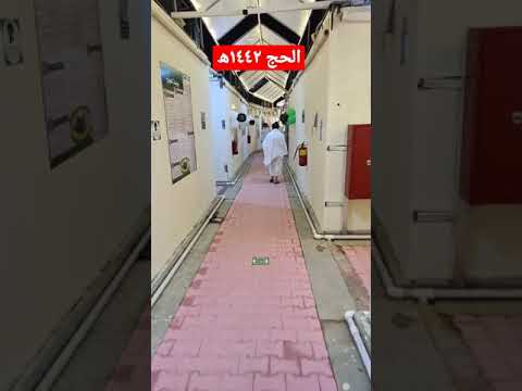 الحج مباشر مخيم منى