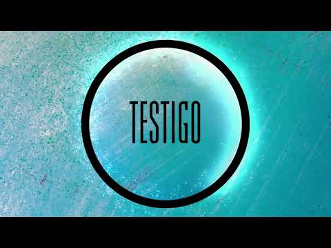 JUAN TERRENAL - Testigo (Official Lyric Video)