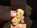 Small Signs of Gold Nuggets!