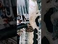 Daikin Split AC Cooling Coil Service  Deep Cleaning  Tuba Aircon#ytshorts #shorts #ac #sarvice