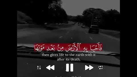 الله يبسط الرزق لمن يشاء ويقدر    القارئ إسلام صبحي    تلآوة خآشعة