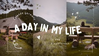 Traveling into the blackforest - backpacking, cooking & just beeing me