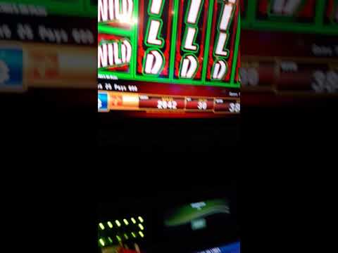 best casino apps for rewards | Diecast Slotcar Racing coming soon to Acme City