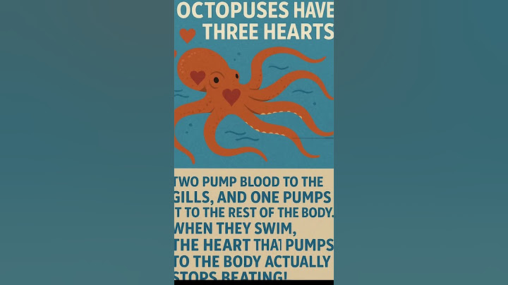 Interesting facts - ep 02