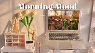 [Playlist]Morning Mood 🍰 Morning energy to start your day ~ Good vibes only