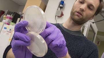 [News 2017] Scientists build dna from scratch to alter life