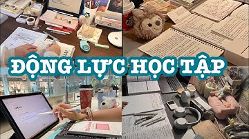 [ ĐỘNG LỰC HỌC TẬP ]  THIÊN PHÚ CÓ THỂ KHIẾN MỘT NGƯỜI TỎA SÁNG RỰC RỠ, NHƯNG NỖ LỰC CŨNG CÓ THỂ