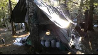 4180Wd-Usa-Maine Hermit