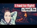WE WENT FOR A PICNIC  but HAD TO FIGHT A FOREST FIRE | St.Petersburg - me