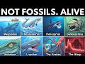 10 Ancient Creatures Rumoured To Still Lurk In The Deepest Trenches