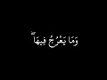 و ه و  م ع ك م  أ ي ن  م ا ك ن ت م  ۚ و الل  ه  ب م ا ت ع م ل ون  ب ص ير    كرومات سوداء شريف مصطفى