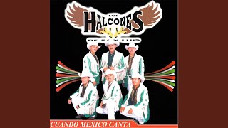 Video thumbnail of "Los Halcones De San Luis - Que Te Ha Dado Esa Mujer"