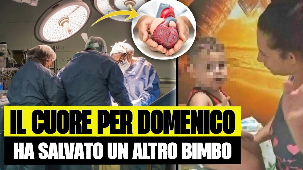 Il cuore destinato al piccolo Domenico ha salvato la vita a un altro ...