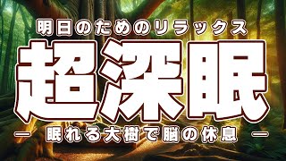 リラックス音楽【眠れる大樹】自然音楽でぐっすり…睡眠導入、ストレス緩和