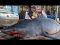 그물에 바위가 걸린줄 알았는데 식인상어?! 3.4미터 초대형 상어 해체작업 Giant SHARK Cutting skill / Korean street food