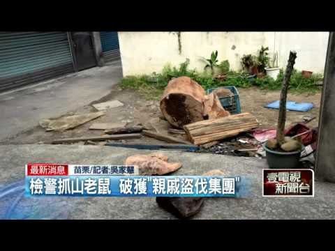 檢警抓山老鼠　破獲「親戚盜伐集團」20151029
