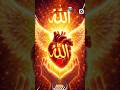 #allah