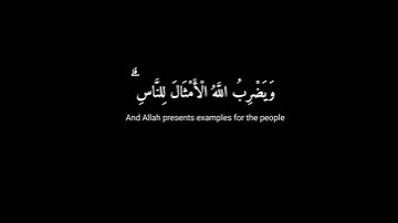 [  نور على نور ] كرومات قران شاشة سوداء - القارئ شريف مصطفى سورة النور#