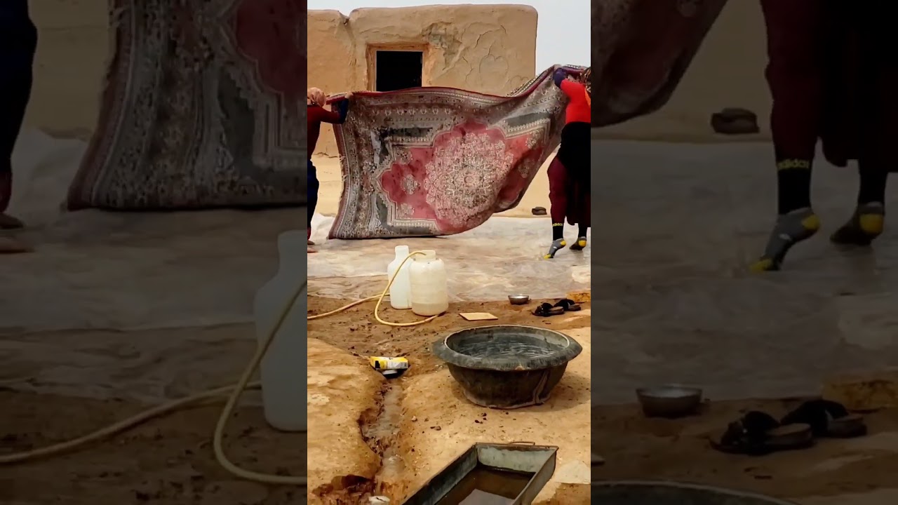 Watch how Iranian nomadic women shake this big and heavy carpet before washing it