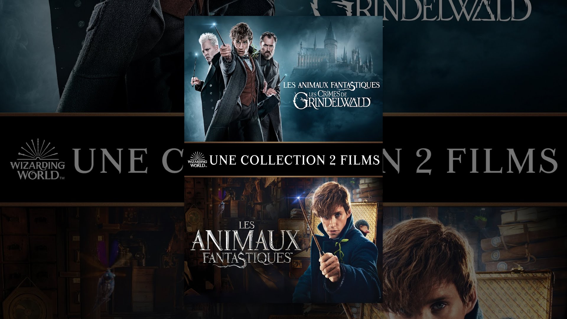 Les Animaux Fantastiques Collection 2 Films (VF) - YouTube