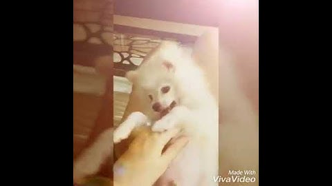 SuBi của Mẹ Làm Nũng Lắm Cơ