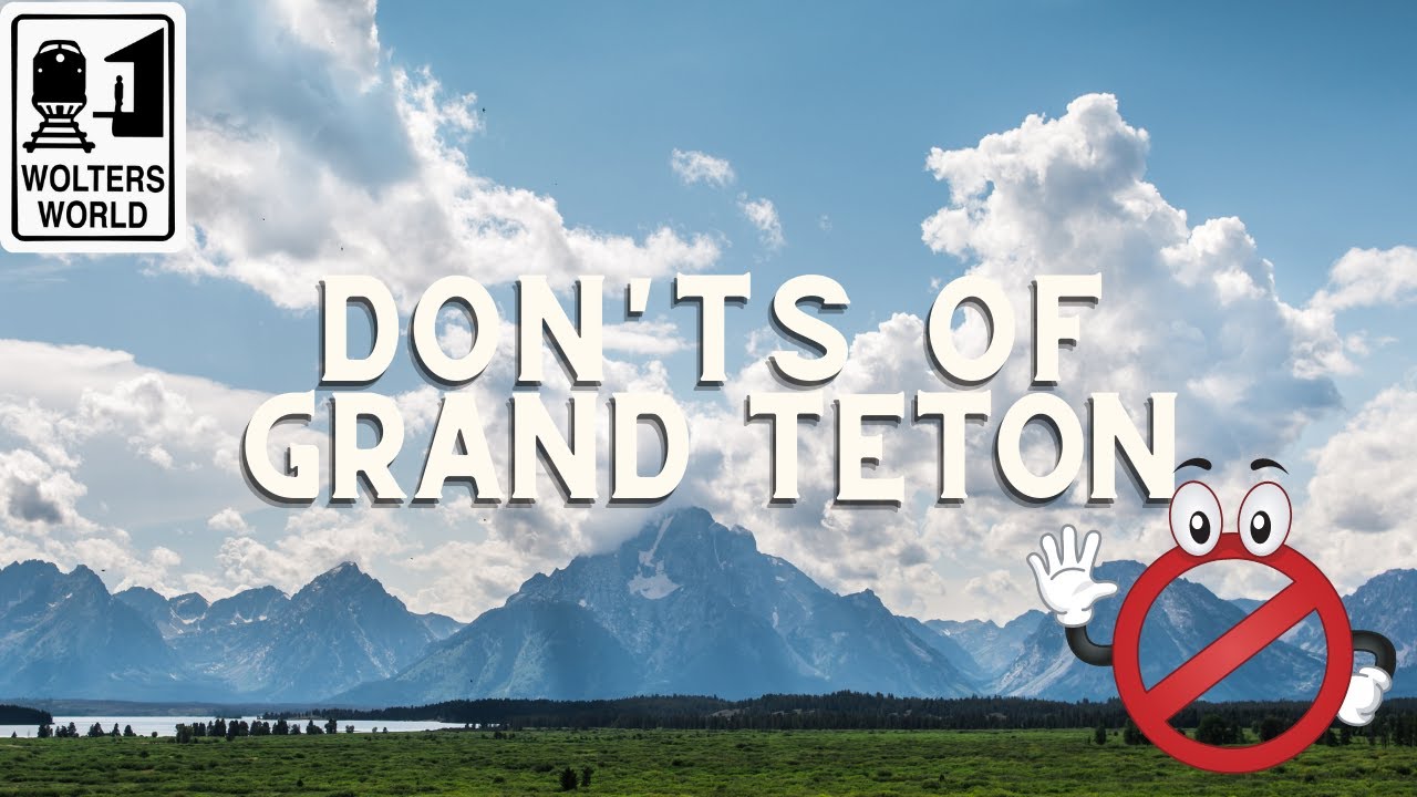 Are Dogs Allowed In Grand Tetons?