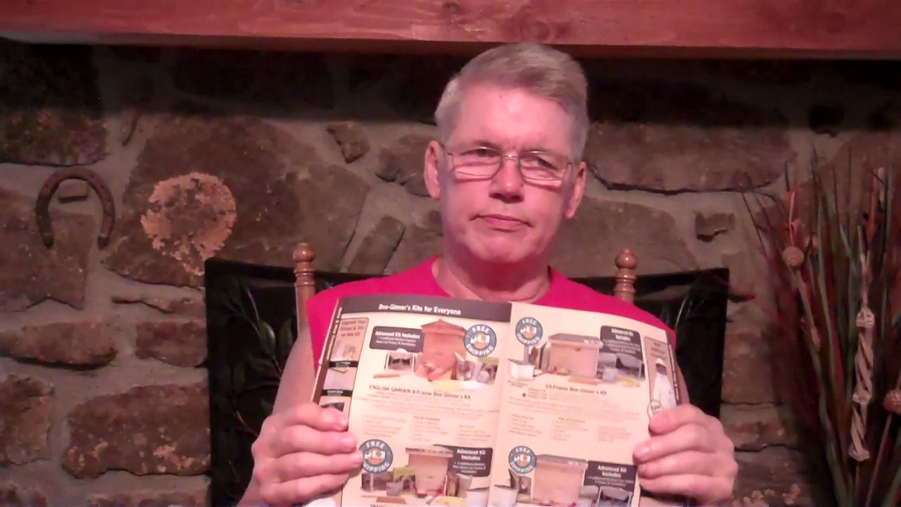 Do you want to start keeping bees, Beekeeping 101