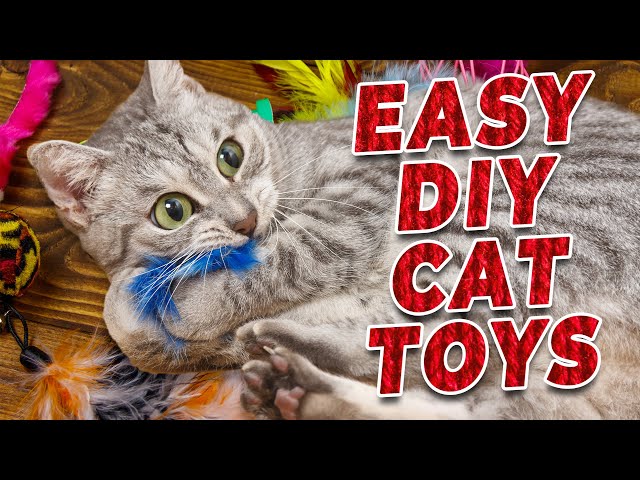 8 Easy DIY Cat Toys [+ Cat Toy Safety Guide]