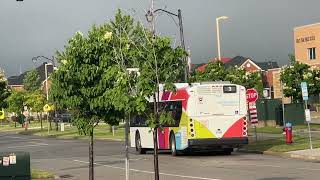 Milton Transit | 2026 New Flyer XD40 2504 | Route 3 Trudeau & Date 06/18/26