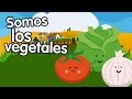 Canción de los vegetales - Canciones Infantiles - Songs for Kids in spanish