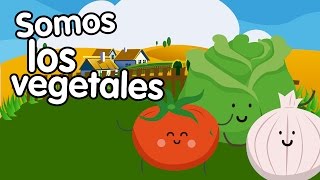 Canción de los vegetales - Canciones Infantiles - Songs for Kids in spanish