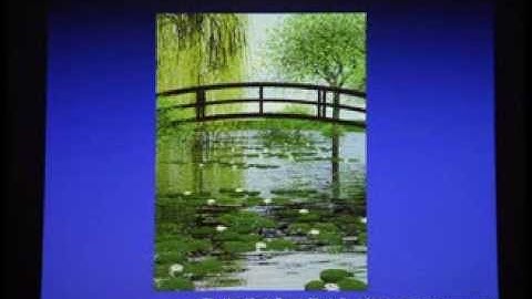 Functional Structural Plant Modelling: Applications in the plant and beyond