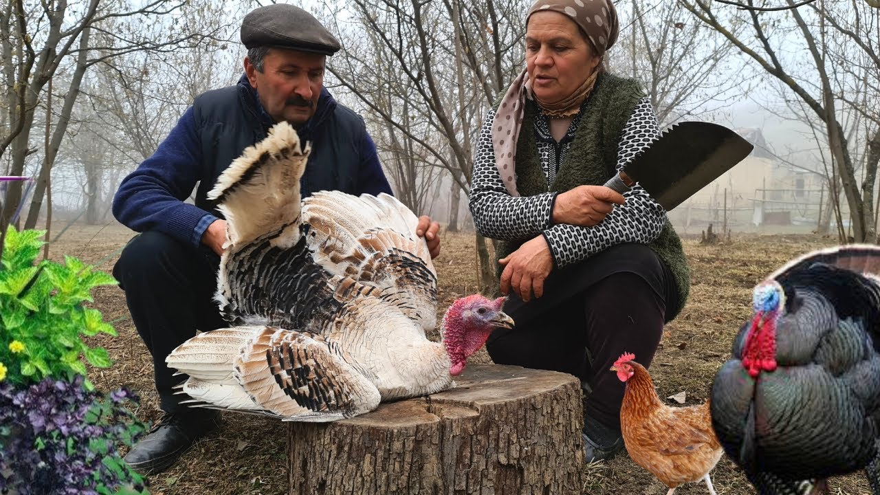 ⁣Hinduşka Plovu, Outdoor Cooking, Cooking on Nature