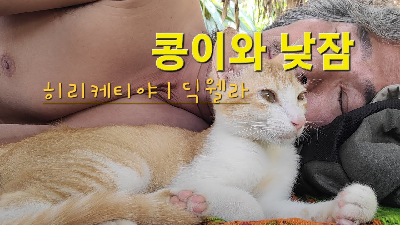 스리랑카 히리케티야ㅣ딕웰라ㅣ미리사