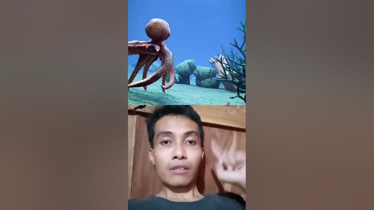 kaki gurita bisa tumbuh lagi