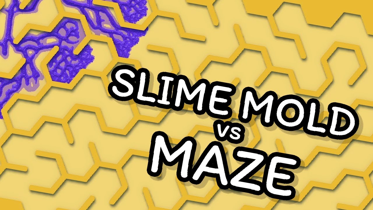 Solving a HONEYCOMB Maze!