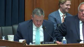 Westerman Questioning Witnesses | Clean Water Act